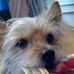 Diane Grimsley - Facebook