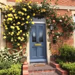 Diane Grimstead - @grimsteaddiane - Instagram