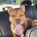 Diane Grindle - Facebook