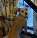 Diane Cranton - Facebook