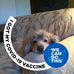 Diane Growitz - Facebook