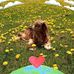 Diane Guest - Facebook