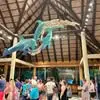 Dianne Guest - @dianne.guest1 - TikTok