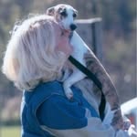 Faith Diane Guest - @faithdianeguest - Instagram