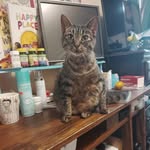 Dianne Guffey - @guffey_dianne - Instagram