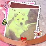 Dianne Guidry - @dianneguidry1 - Instagram