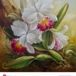 Diane Guinn - @guinndiane - Instagram