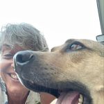 Diane Hadley - @ddmariehadley - Instagram