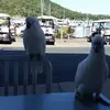 Diane Hadley - @diane.hadley0 - TikTok
