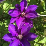 Diane Santarelli Hadley - @dianesantarellihadley - Instagram
