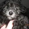 dianehadleyslaugh - @dianehadleyslaugh - TikTok