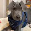 hadley_diane - @hadley_diane6 - TikTok