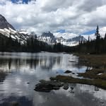 Diane Hagerman - @diane_hagerman - Instagram