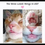 Diane Archer - @dianehaleyarcher1960 - Instagram