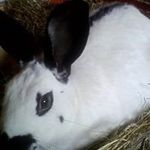 Diane Haley - @dianehaley1972 - Instagram