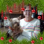 Diane Haley - @diane.haley.50552 - Instagram