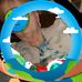 Diane Haley - Facebook