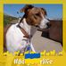 Diane Haley - Facebook
