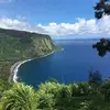 Dianne Haley - @dianne.haley - TikTok