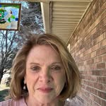 Diane D Hampton - @mcmvegandi - Instagram