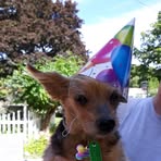 Diane Harbaugh - Facebook