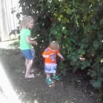 Diane Harbaugh Presley - @presl01 - Instagram