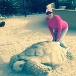 Diane Habecker - @dianeyorkhabecker - Instagram