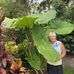 Diane Harber - Facebook