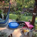 Diane Hardin Stewart - @dianehstewart - Instagram