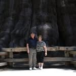 Harold-Diane Davis - @harolddianedavis - Instagram