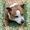 Diane Haslam - @diane.haslam - TikTok