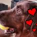 Diane Hawk - Facebook