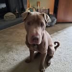 Diane Hawk Mattson - @dianehawkmattson - Instagram