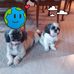 Dianne Hawk - Facebook