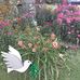 Diane Head - Facebook