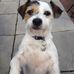 Diane Heath - Facebook