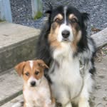 Diane Heck - @dheck26 - Instagram