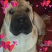 Diane Heiser - Facebook