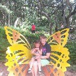 Diane Helm - @dianehelm - Instagram