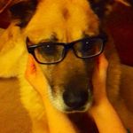 Diane Helm - @dianehelm56 - Instagram