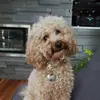dianehelms - @diane_helms - TikTok