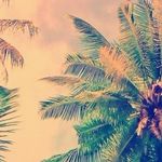 diane hendrix - @dianehendrix.2 - Instagram