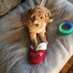 Diane Hennessy - @diane_hennessy - Instagram