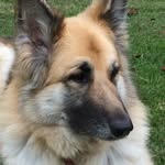 Diane Henson - @dheywood64 - Instagram