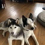 Diane M Herron - @dianemherron - Instagram