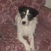 Diane Hewitt - Facebook