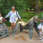 Diane Hewitt - @diane.hewitt.37 - Instagram