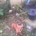 Diane Hite - Facebook
