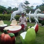 Diane J. Hite - @sulea.basit300 - Instagram