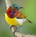 Diane Bowman - Holiday Experts - Facebook